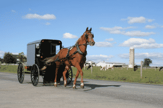 Indiana County amish smicksburg, pa