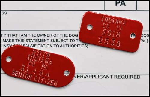 Dog License